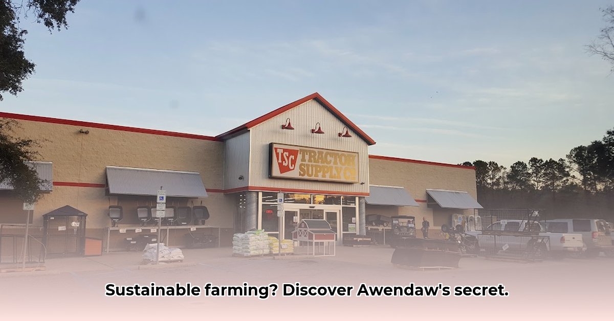 tractor-supply-awendaw-south-carolina